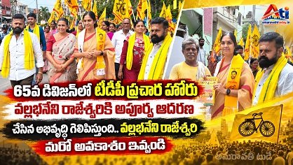 65వ డివిజన్‌లో టీడీపీ ప్రచార హోరు